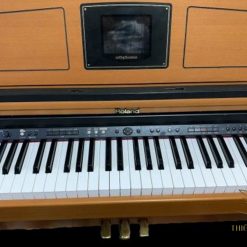 Đàn piano điện Roland HPi-6