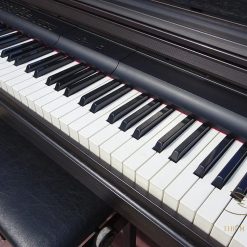 Đàn piano CASIO AP 55