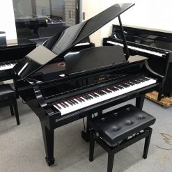 Đàn piano Roland RG3F