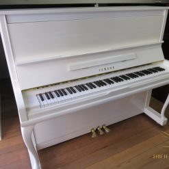 Đàn piano Yamaha MX202R