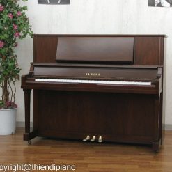 Yamaha WX1AWN
