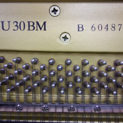 Yamaha YU30BM
