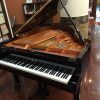 Grand Piano Yamaha C1