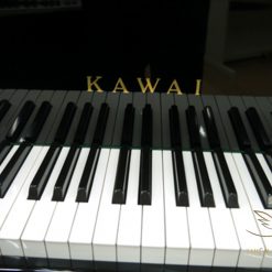 Kawai BL71