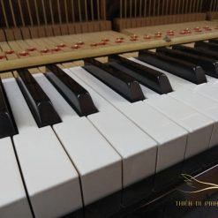Kawai US50