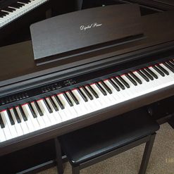 Piano Điện KAWAI PW-400