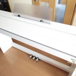 Piano điện Casio PX-750WE