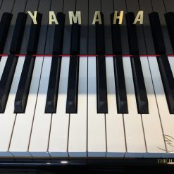 Yamaha A1AE