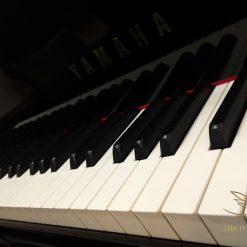 Yamaha C3