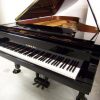 Yamaha S700E
