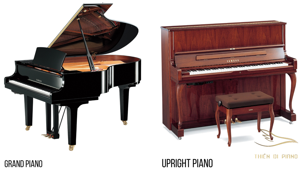 Grand Piano và Upright Piano