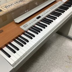 Piano Điện Yamaha P-120