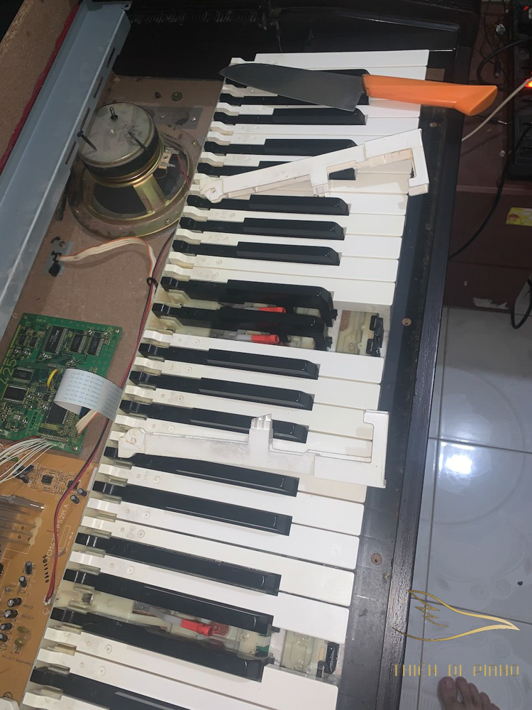 sửa đàn piano điện